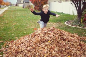 image of a child jumping into a pile of leaves